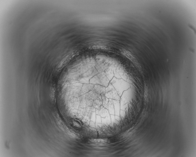 X0000100220449200806201512