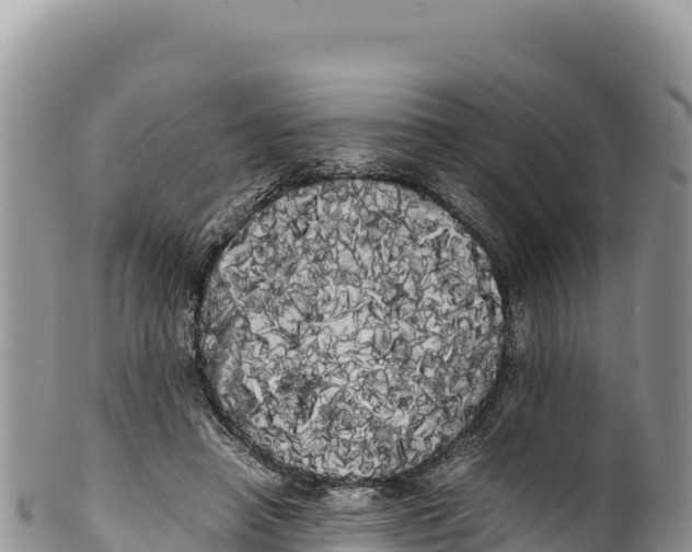 X0000100220450200806201512