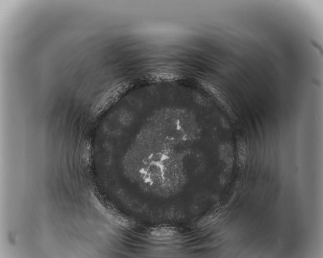 X0000100220451200806201512