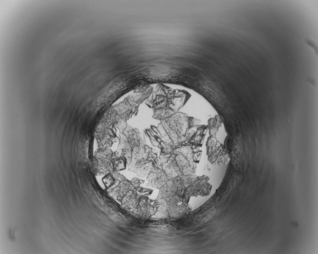 X0000100220454200806201512