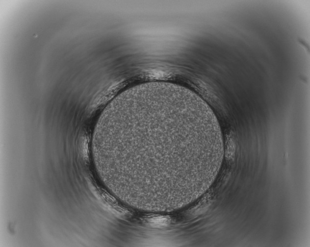 X0000100220456200806201512