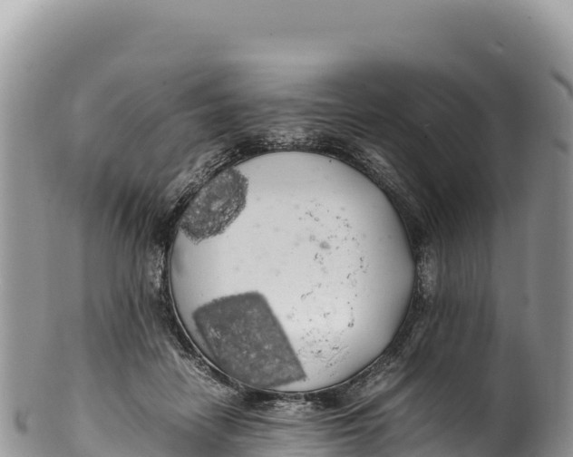 X0000100220458200806201512