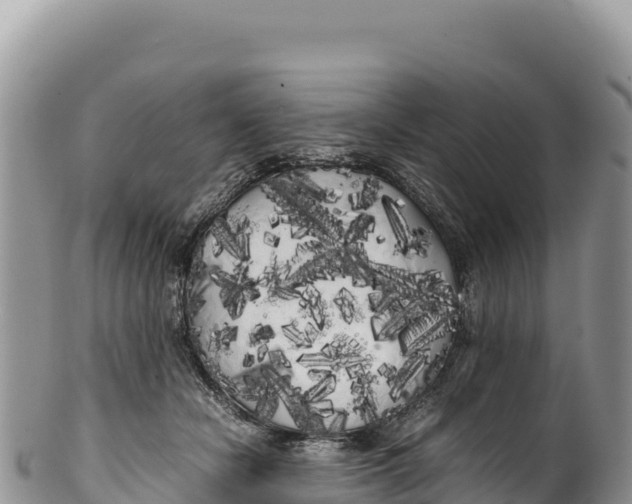 X0000100220462200806201512