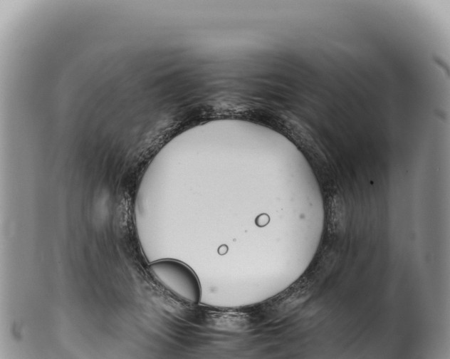 X0000100220463200806201512