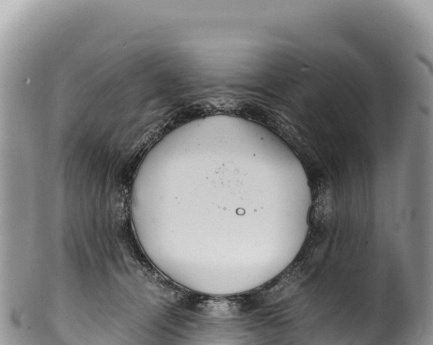 X0000100220464200806201512