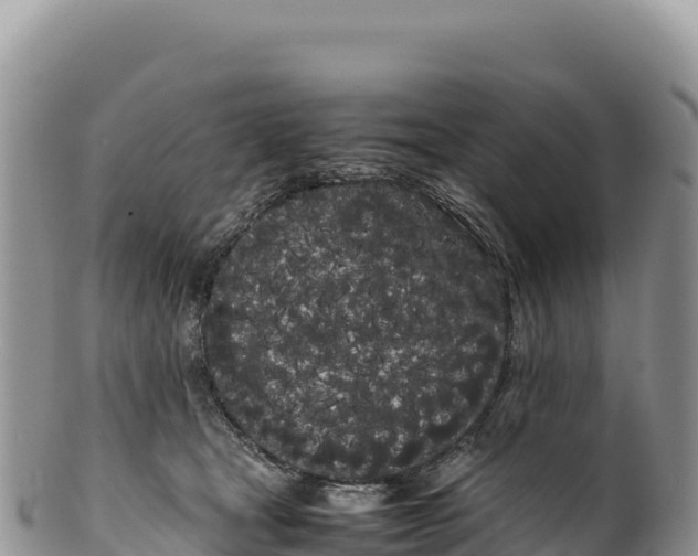 X0000100220465200806201512