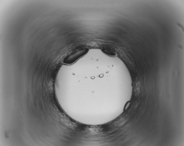 X0000100220466200806201512