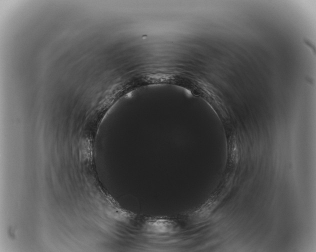 X0000100220467200806201512