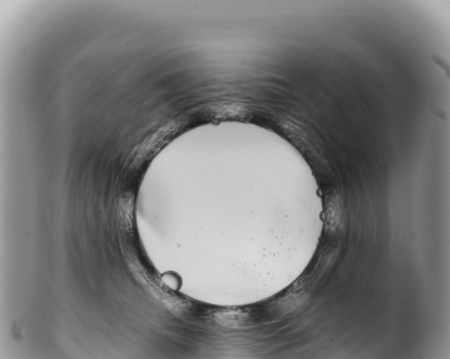 X0000100220468200806201512