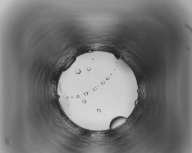 X0000100220470200806201512