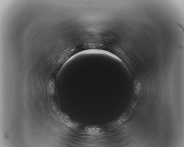 X0000100220471200806201512