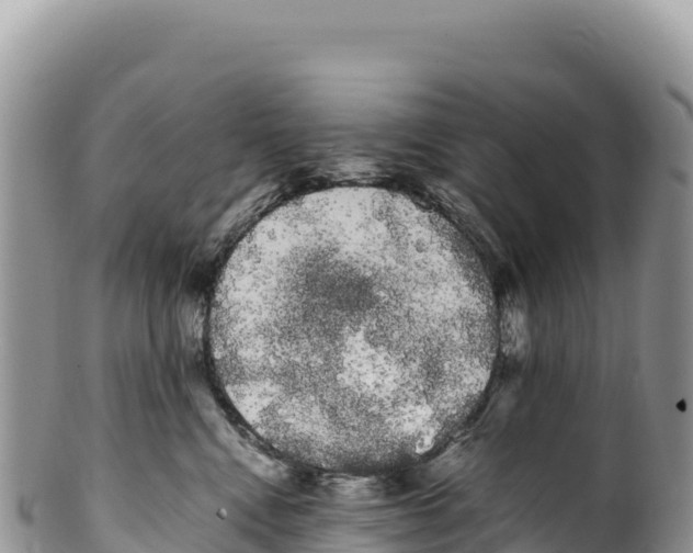 X0000100220472200806201512