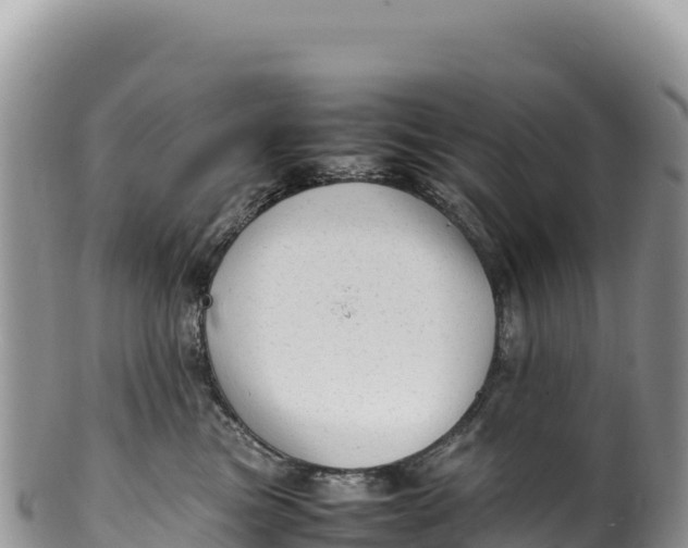 X0000100220473200806201512