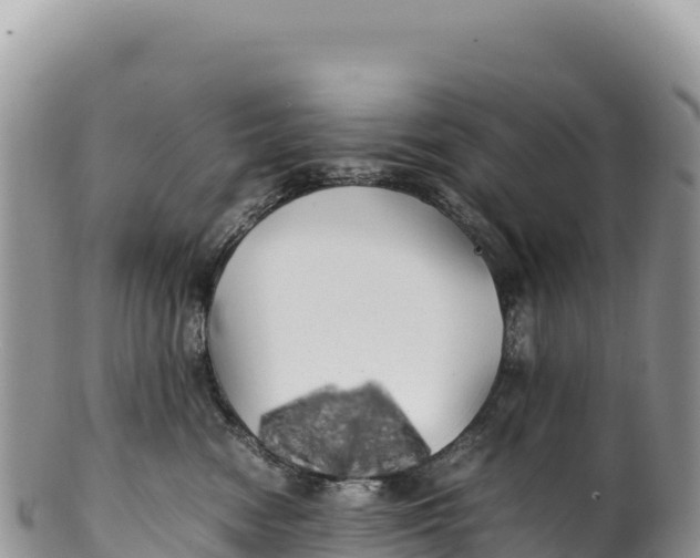 X0000100220474200806201512