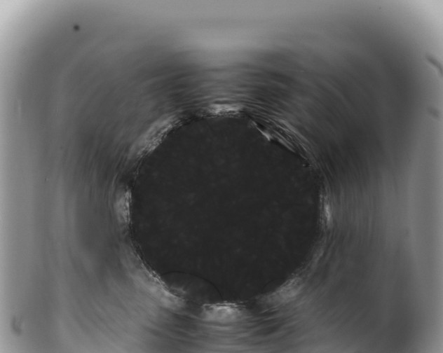 X0000100220475200806201512