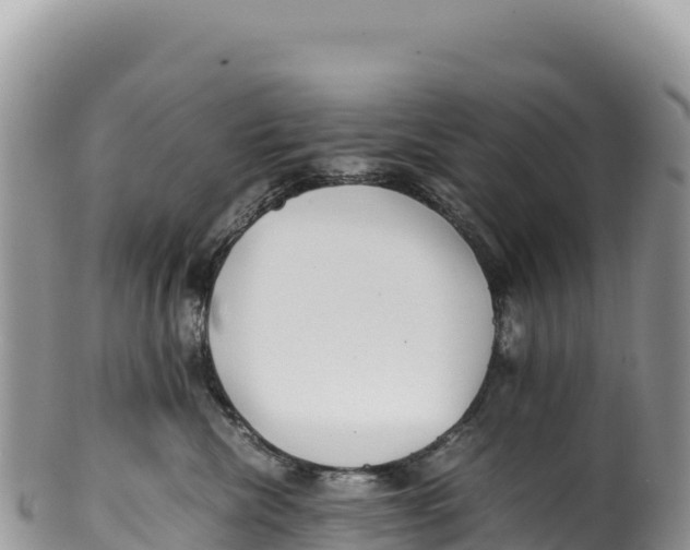 X0000100220476200806201512