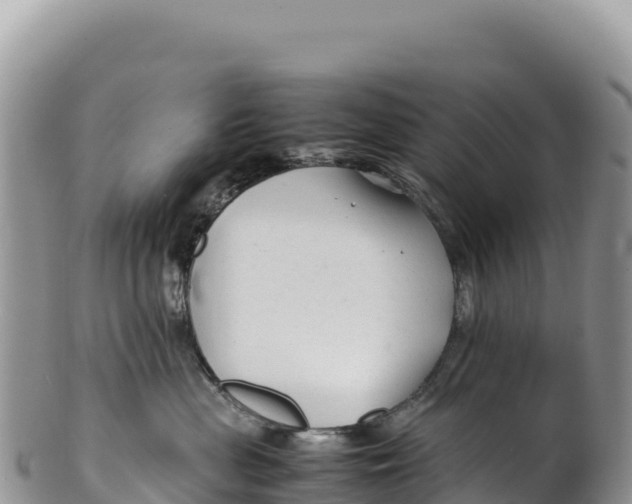 X0000100220477200806201512