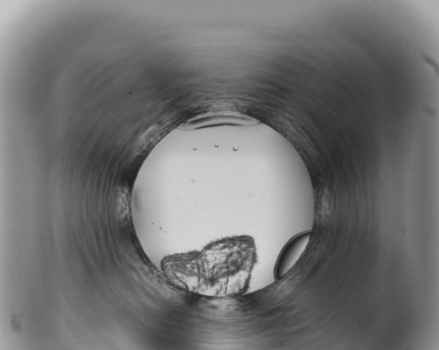 X0000100220478200806201512