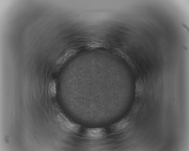 X0000100220479200806201512