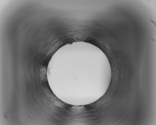 X0000100220480200806201512