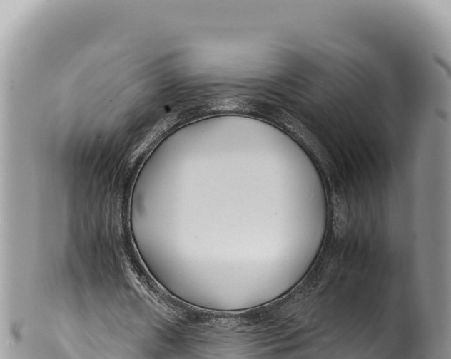 X0000100220482200806201511