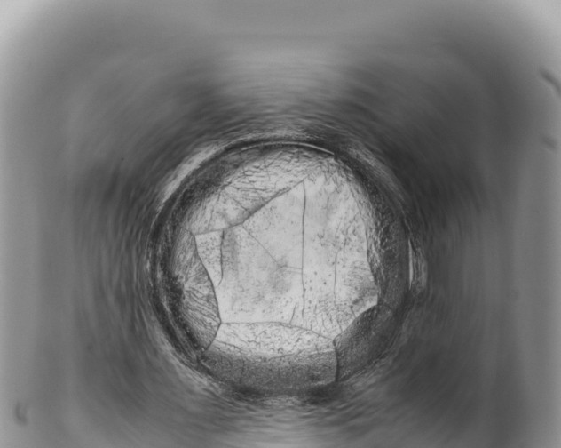 X0000100220483200806201511