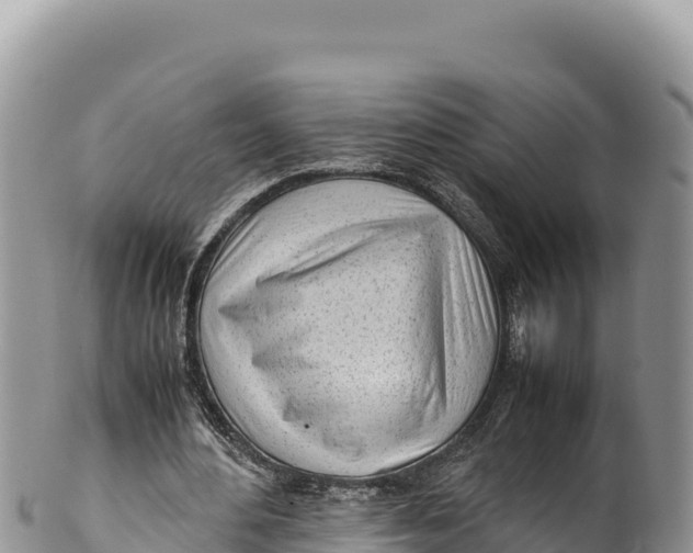 X0000100220484200806201511