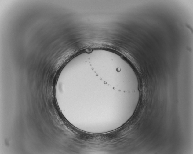 X0000100220485200806201511