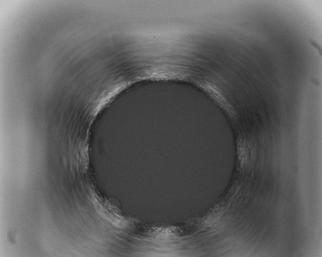 X0000100220488200806201511