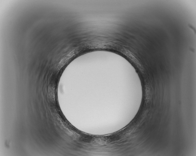 X0000100220489200806201511