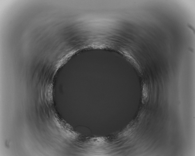 X0000100220492200806201511