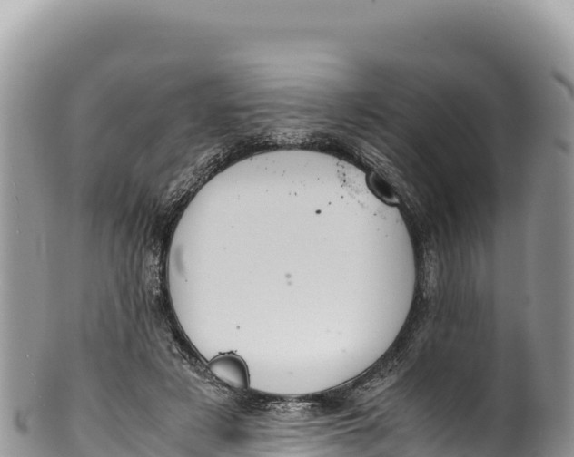 X0000100220497200806201511