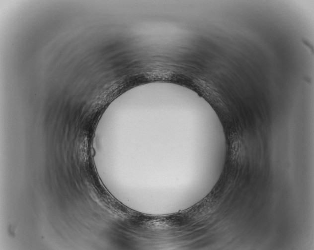 X0000100220498200806201511