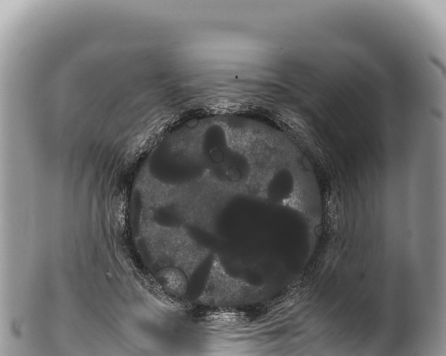 X0000100220499200806201511