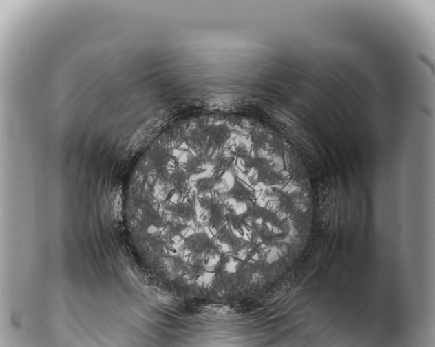 X0000100220502200806201511