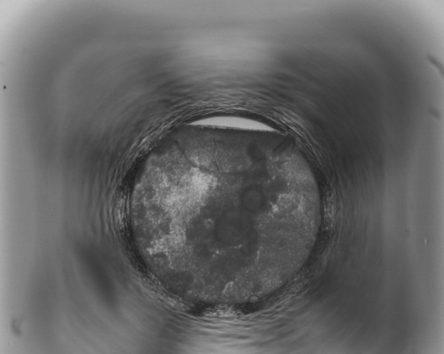 X0000100220503200806201511