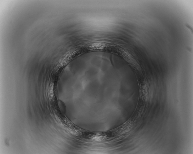 X0000100220504200806201511