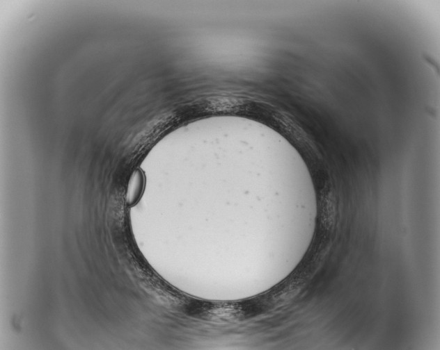 X0000100220505200806201511