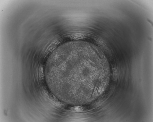 X0000100220506200806201511