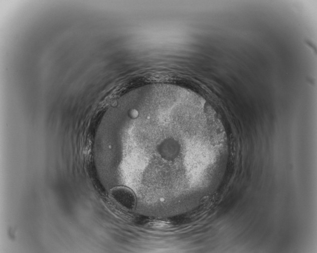 X0000100220507200806201511