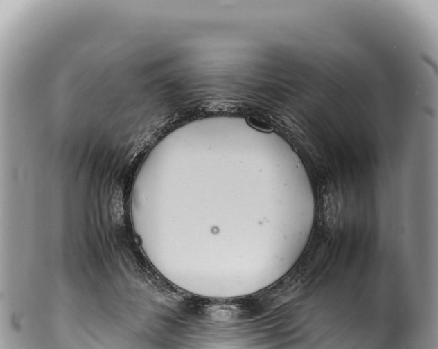 X0000100220508200806201511