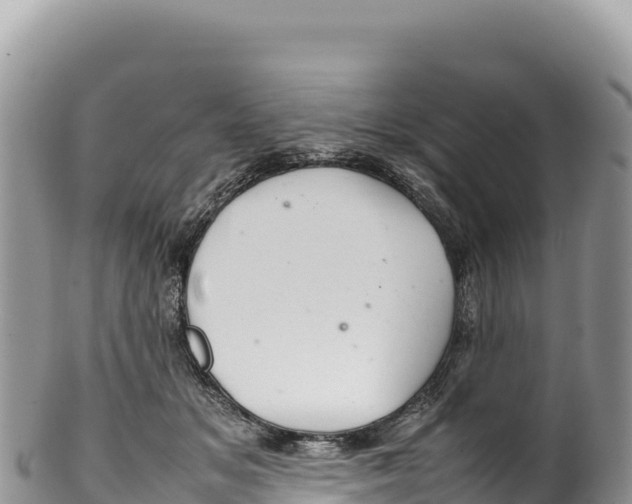 X0000100220509200806201511