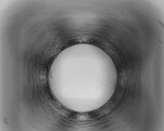 X0000100220510200806201511