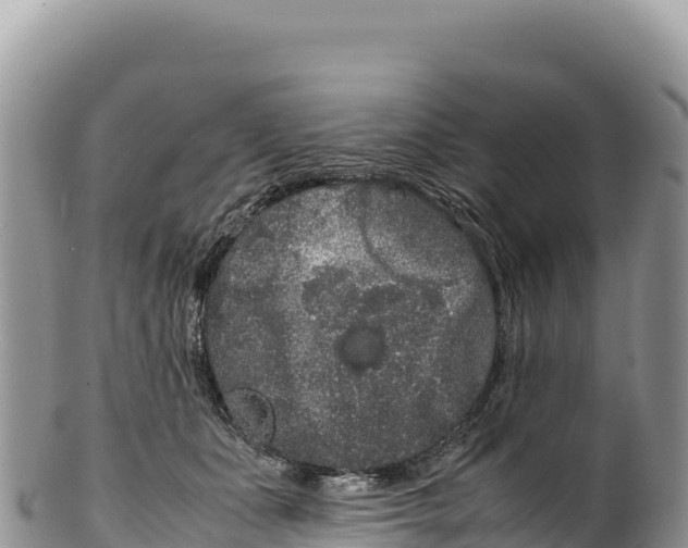 X0000100220511200806201511