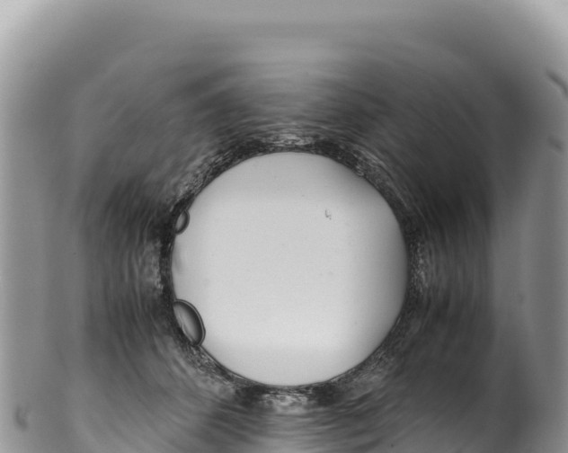 X0000100220512200806201511