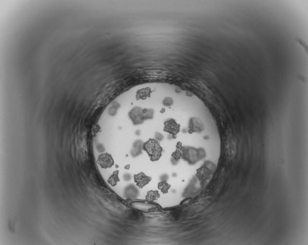 X0000100220516200806201511