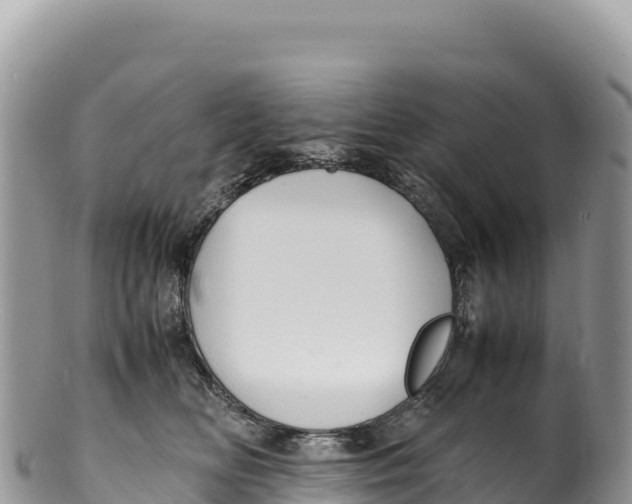 X0000100220518200806201511