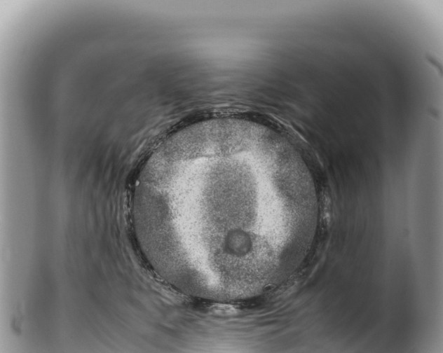 X0000100220519200806201511