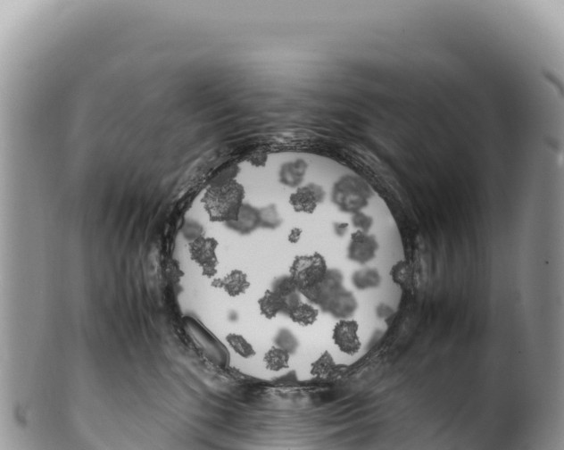 X0000100220520200806201511