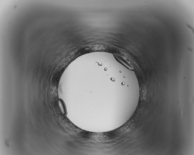 X0000100220521200806201511